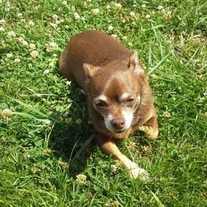 Meet your Posher, Lacretia